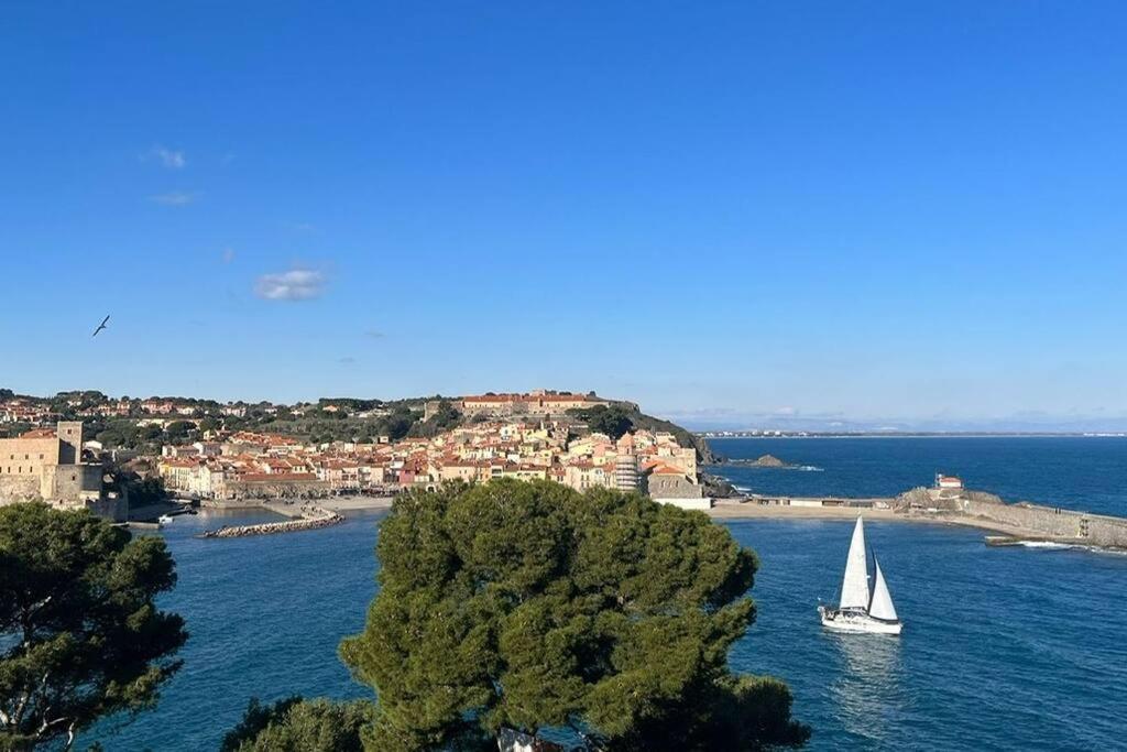 Apartamento Vue Exceptionnelle Sur La Baie De Collioure Exterior foto