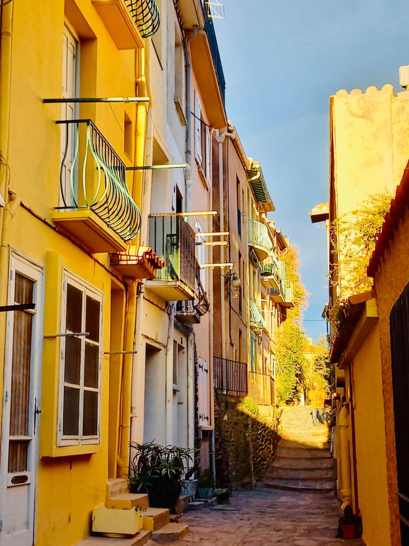 Apartamento Vue Exceptionnelle Sur La Baie De Collioure Exterior foto