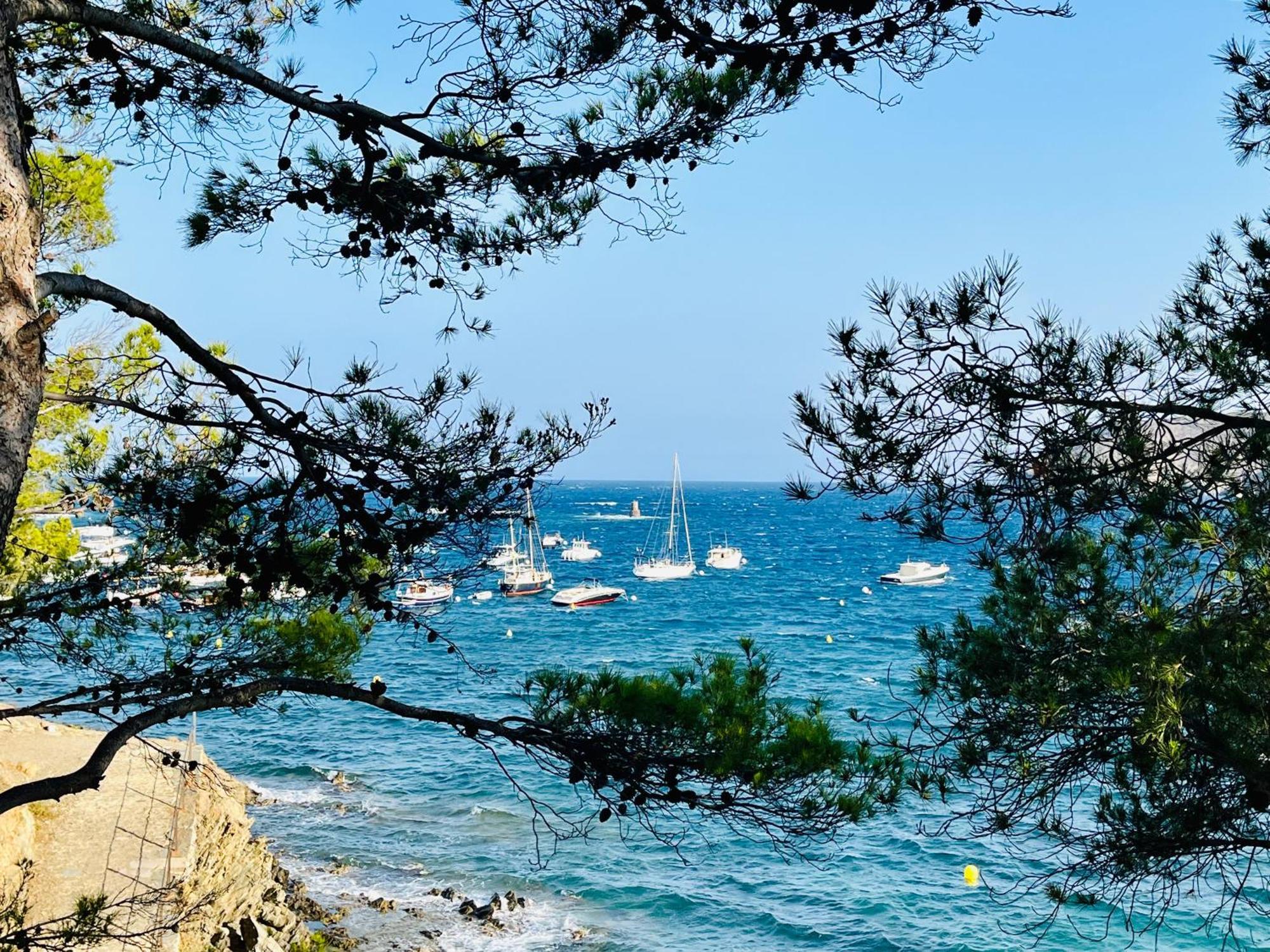 Apartamento Vue Exceptionnelle Sur La Baie De Collioure Exterior foto
